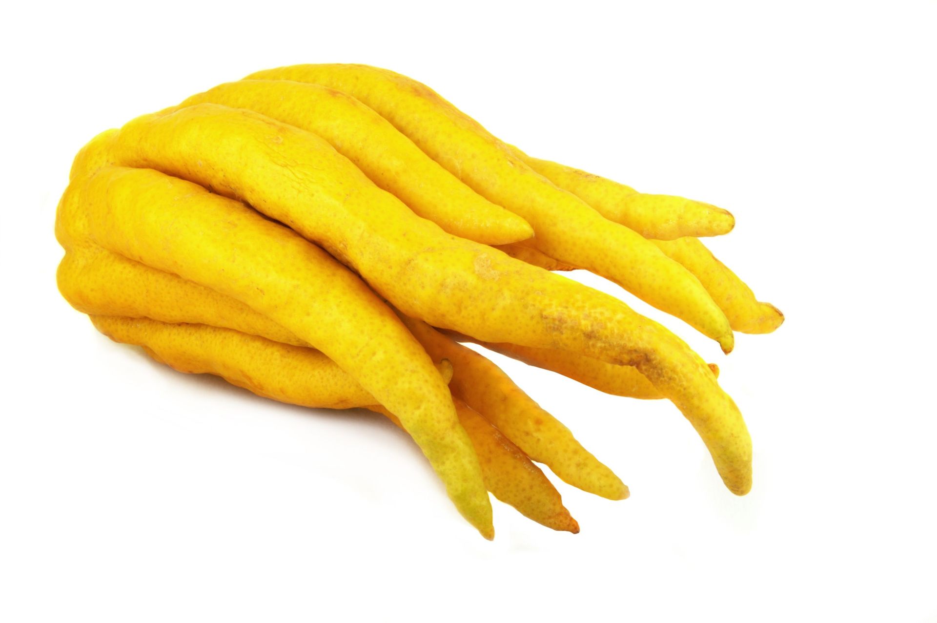 Buddha hand outlet fruit